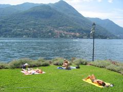 como (17)