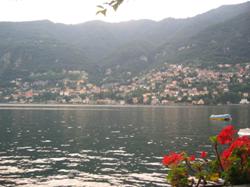 como (230)