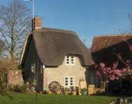 thatch-cottage.jpg