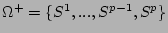 $\Omega^{+}=\{S^{1},...,S^{p-1},S^{p}\}$